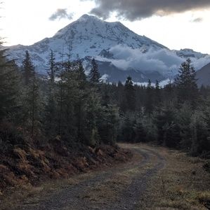 Meet your Posher, Tom